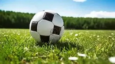 国际乒联宣布2025釜山世乒赛将推迟举办